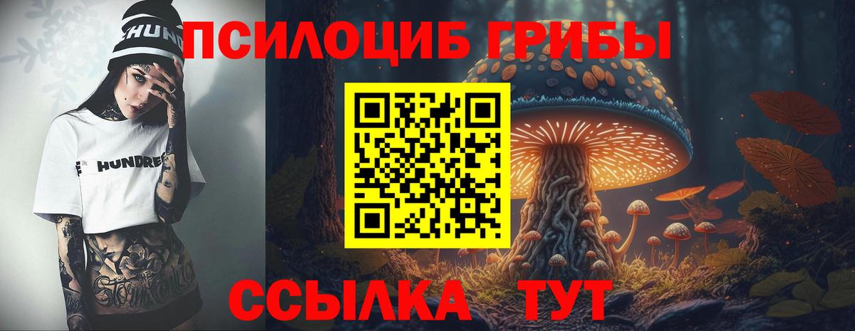 Галлюциногенные грибы MAGIC MUSHROOMS  Вход с VPN  Гуково 